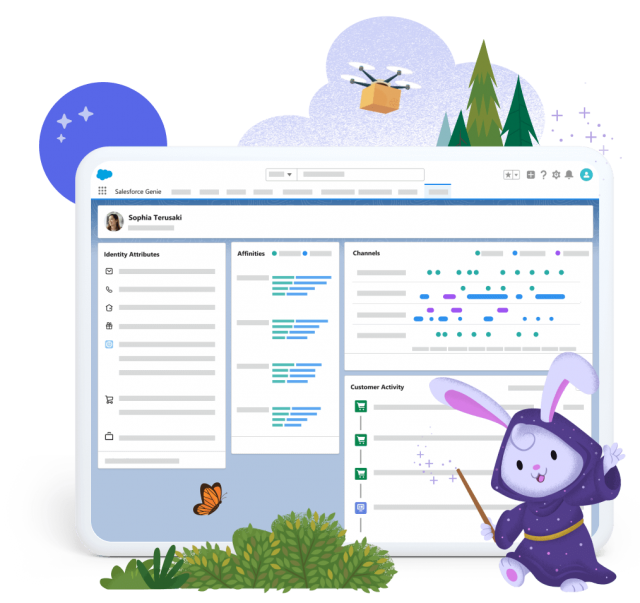 Salesforce Data Cloud Genie